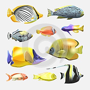 Sea beautiful fish collection isolated on white background. Flat design fish. Vector illustration, fishes. Fish collection.