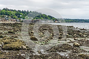 Sea Bed At Low Tide 3