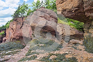 Sea Bedrock Formations at Hopewell Rocks photo