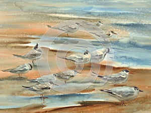 Sea birds watercolor landscape