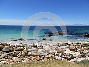 Sea Blue Seas at Boulders Beach South Africa