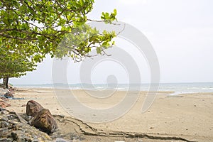 Sea with blue sky background in Thailand.