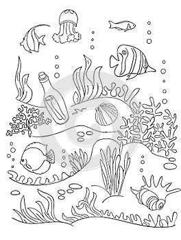 Sea bottom drawing.