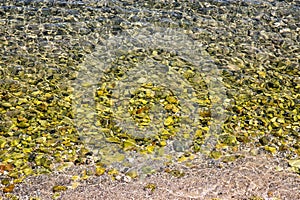 Sea bottom at Iraklion, Crete island