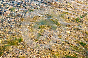 Sea bottom with pebbles and algea.