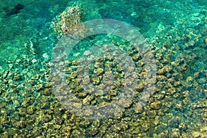 Sea bottom with stones