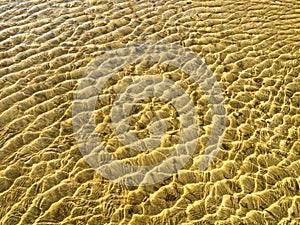 Sea bottom texture, yellow sand waves in shallow water.