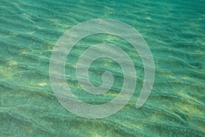 Sea bottom underwater photo,