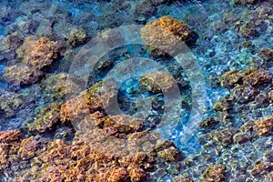 Sea bottom with underwater seaweeds viewed through clear azure blue water at Black Sea coast. Nature background and texture