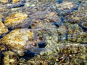 Sea bottom through the water surface