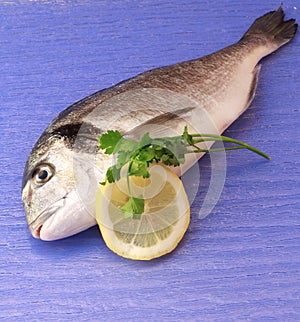 Sea bream