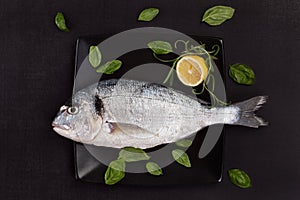 Sea bream on black plate with herbs.