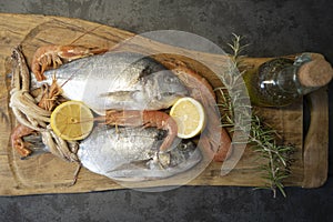 Sea bream or dorado raw fish uncooked , Italy photo