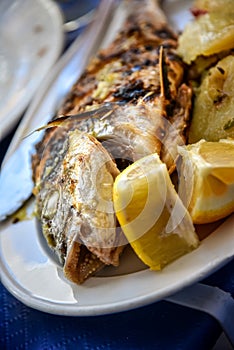 Sea bream fish grilled over a wood fire in Malaga in Spain