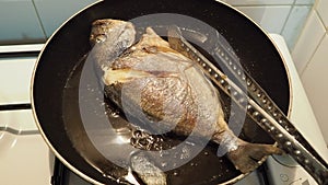 Sea bream is frying in a pan on the stove