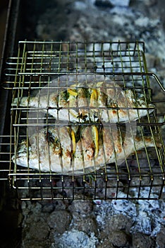 Sea bream prepared on grill with lemon and rosemary