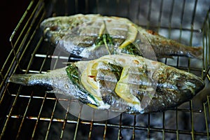 Sea bream prepared on grill with lemon and rosemary