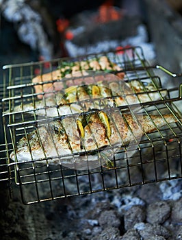 Sea bream prepared on grill with lemon and rosemary