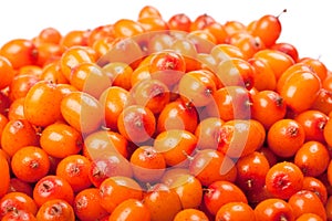 Sea-buckthorn berries