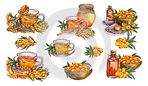 Sea buckthorn berries set. Sea buckthorn oil, tea. Watercolor. For cosmetology, pharmaceuticals, food industry.