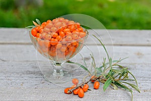 Sea buckthorn berries in vase on wooden table