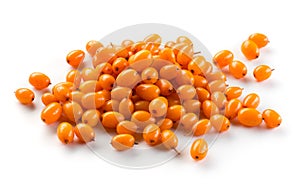 Sea buckthorn berries on a white background