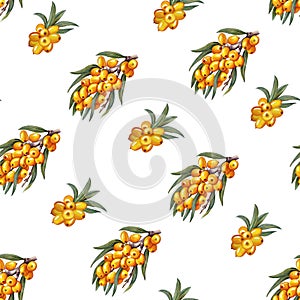 Sea buckthorn branch. Seamless pattern. Watercolor illustration. For cosmetology, pharmaceuticals, food industry.
