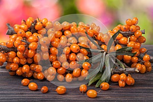 Sea buckthorn branch on a wooden table with blurred garden background