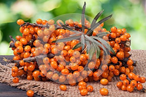 Sea buckthorn branch on a wooden table with blurred garden background