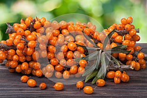 Sea buckthorn branch on a wooden table with blurred garden background
