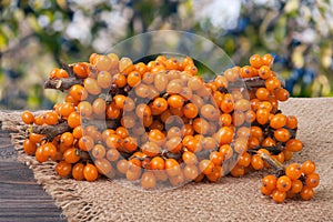 Sea buckthorn branch on a wooden table with blurred garden background