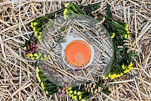 Sea-buckthorn cake with nuts on a straw in a circle of flowers