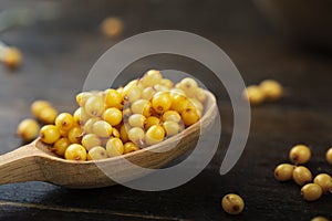 Sea buckthorn. Fresh ripe berry in wooden a spoon  on wood background