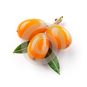 Sea buckthorn isolated on the white. With clipping path