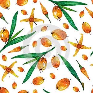 Sea buckthorn seamless watercolor pattern. Hand-drawn illustration on a white background. Fruit garden plant