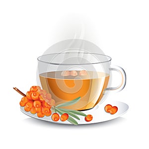 Sea buckthorn tea in transparent glass cup with haze