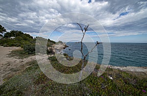 The sea in Calafat on the darted coast of Tarragona photo