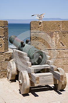 Sea cannon