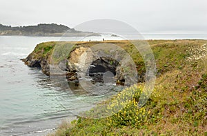 Sea cave in Mendocino head, Mendocino Headlands State Park. photo