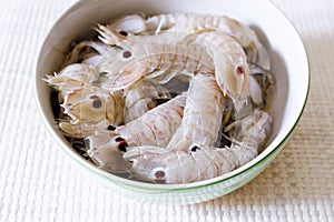 Sea cicadas, before cooking, on the plate