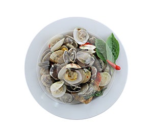 sea clams or RIDGED VENUS of Stir sauce in white dish isola