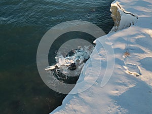 Sea cliff in Paldiski on a winter day, photo from a drone