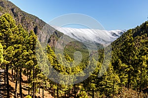 Sea of Clouds over Caldera de Taburiente in La Palma photo