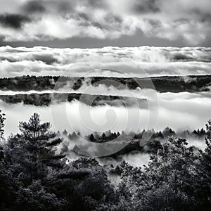 Sea of clouds over the forest in black and white, nature, clouds and skies