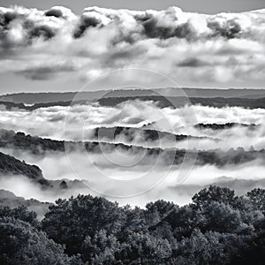 Sea of clouds over the forest in black and white, nature, clouds and skies