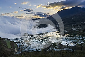 Sea of clouds at sunrise in Duoyishu Yuanyang rice terraces Honghe Yunnan Province China