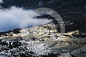 Sea of clouds at sunrise in Duoyishu  Yuanyang rice terraces  Honghe  Yunnan Province  China