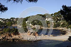 Sea and coast in Bandol, France