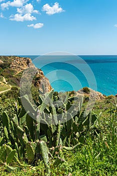 Sea coast and beaches of Lagos, Algarve, Portuga