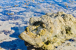 Sea coast with beautiful stones and shells